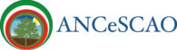 ANCeSCAO